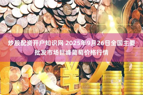 炒股配资开户知识网 2025年9月26日全国主要批发市场巨峰葡萄价格行情